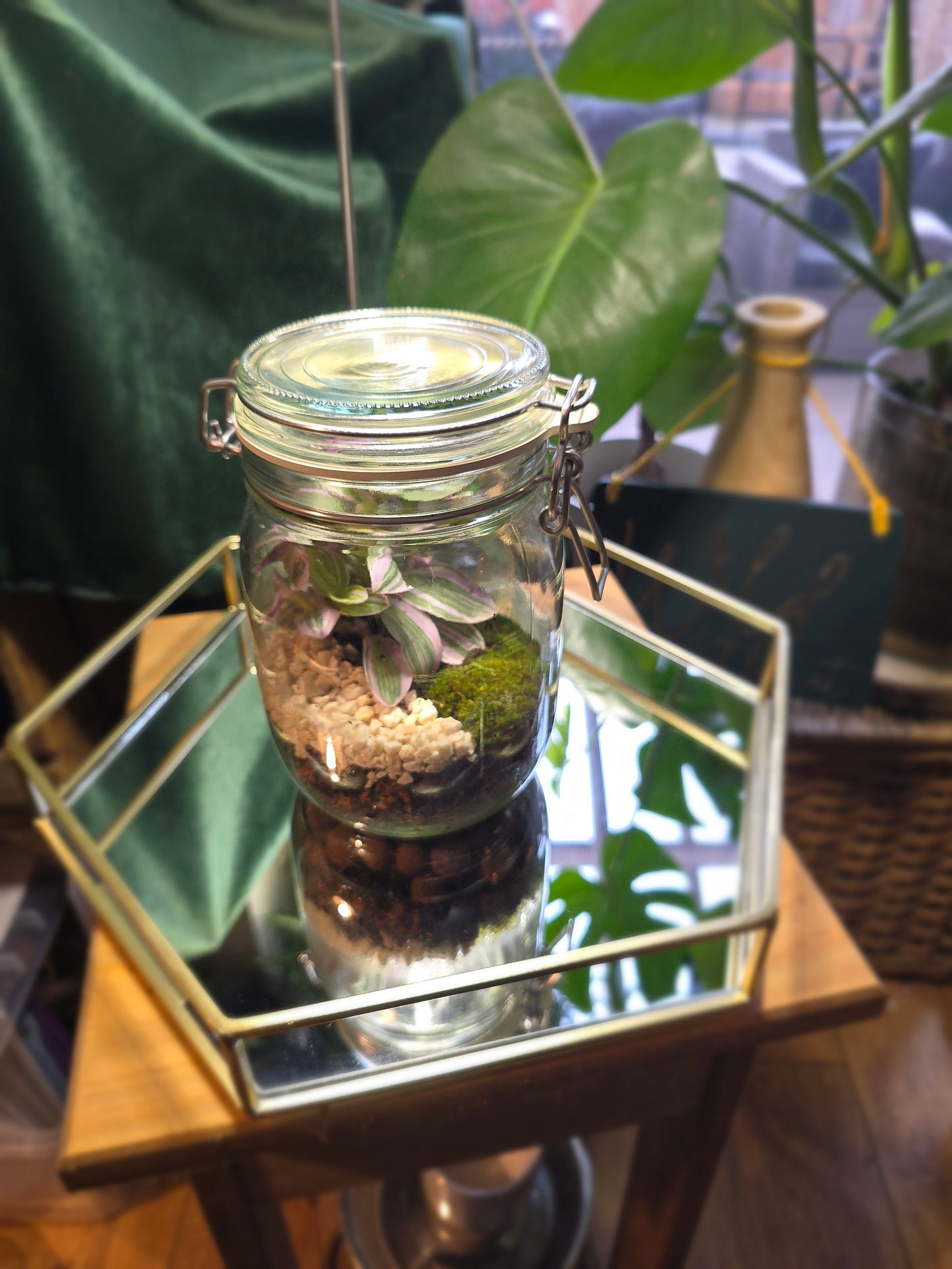 Kilner Jar Terrarium