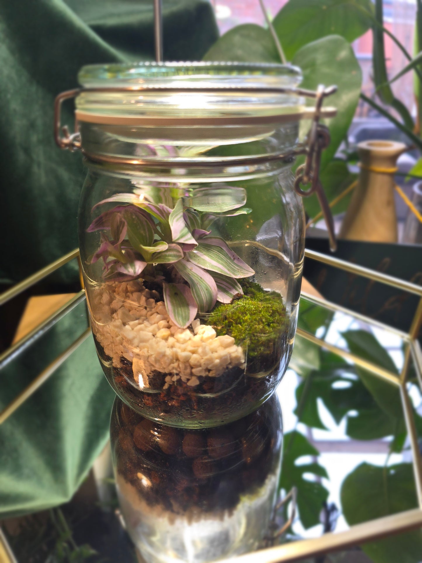 Kilner Jar Terrarium