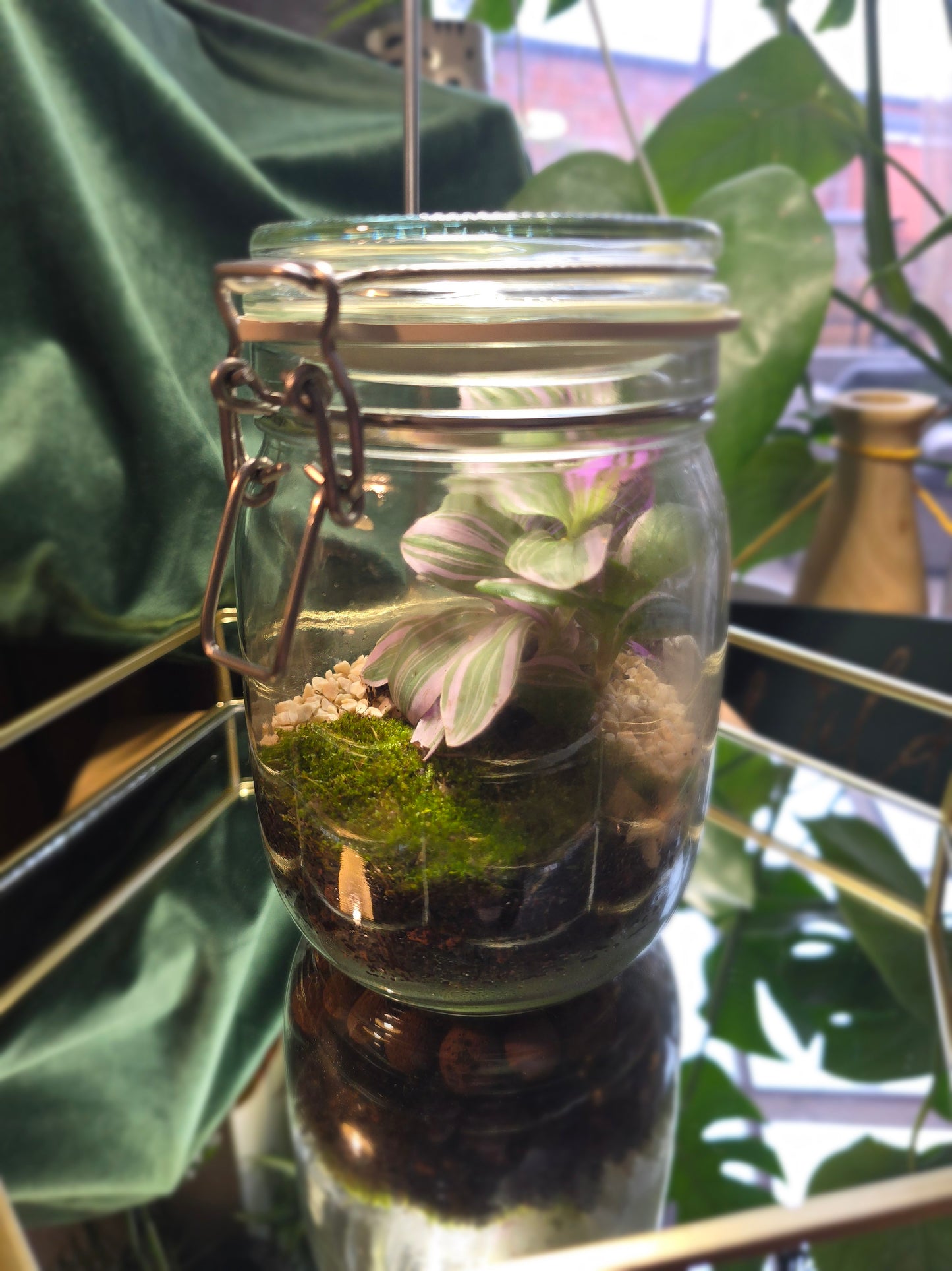 Kilner Jar Terrarium