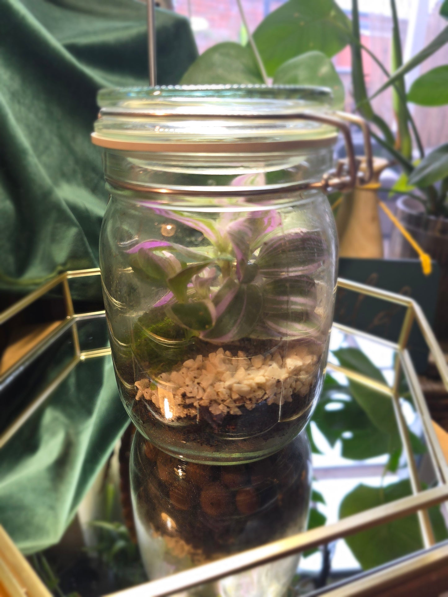 Kilner Jar Terrarium