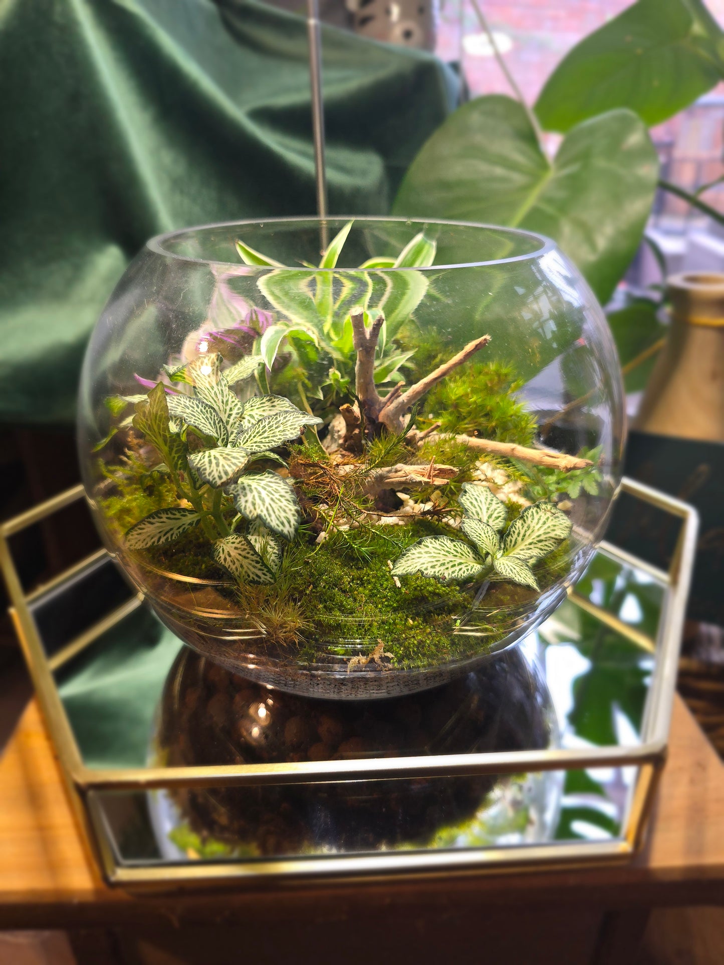 Fish Bowl Terrarium