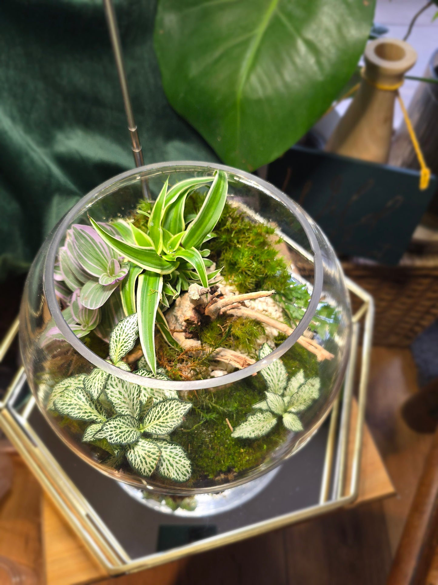 Fish Bowl Terrarium