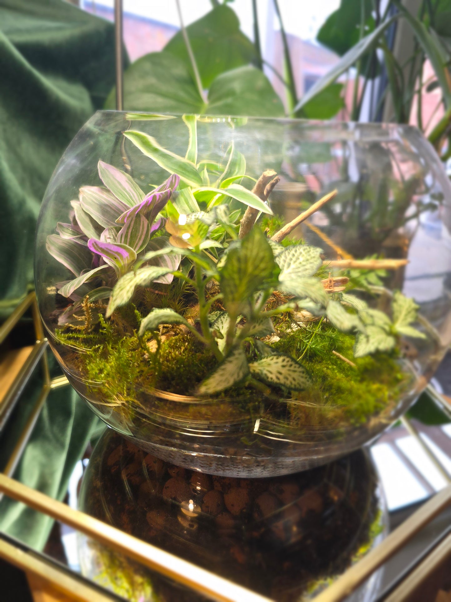 Fish Bowl Terrarium