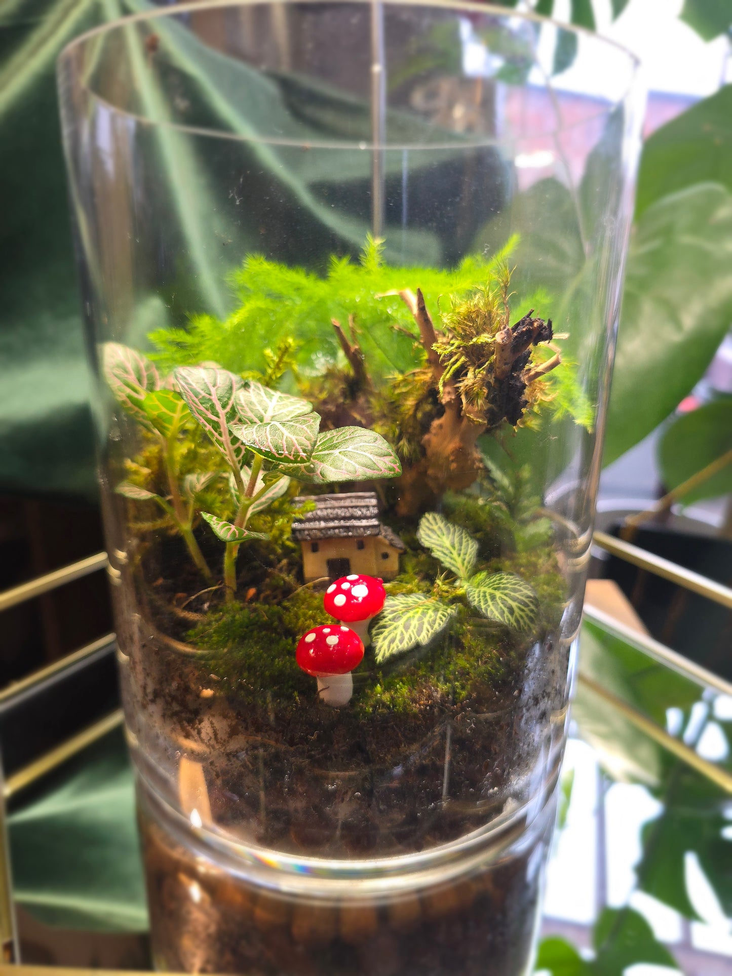 Large Round Terrarium