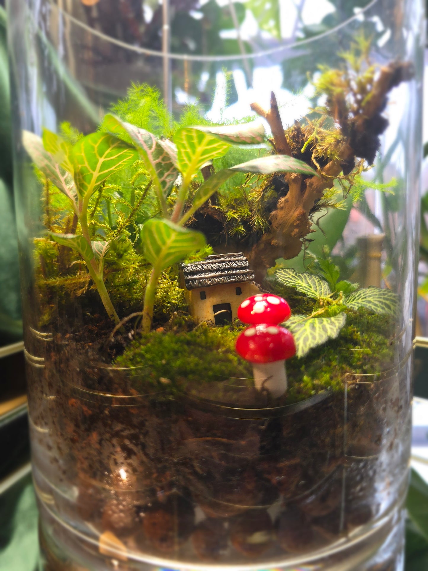 Large Round Terrarium