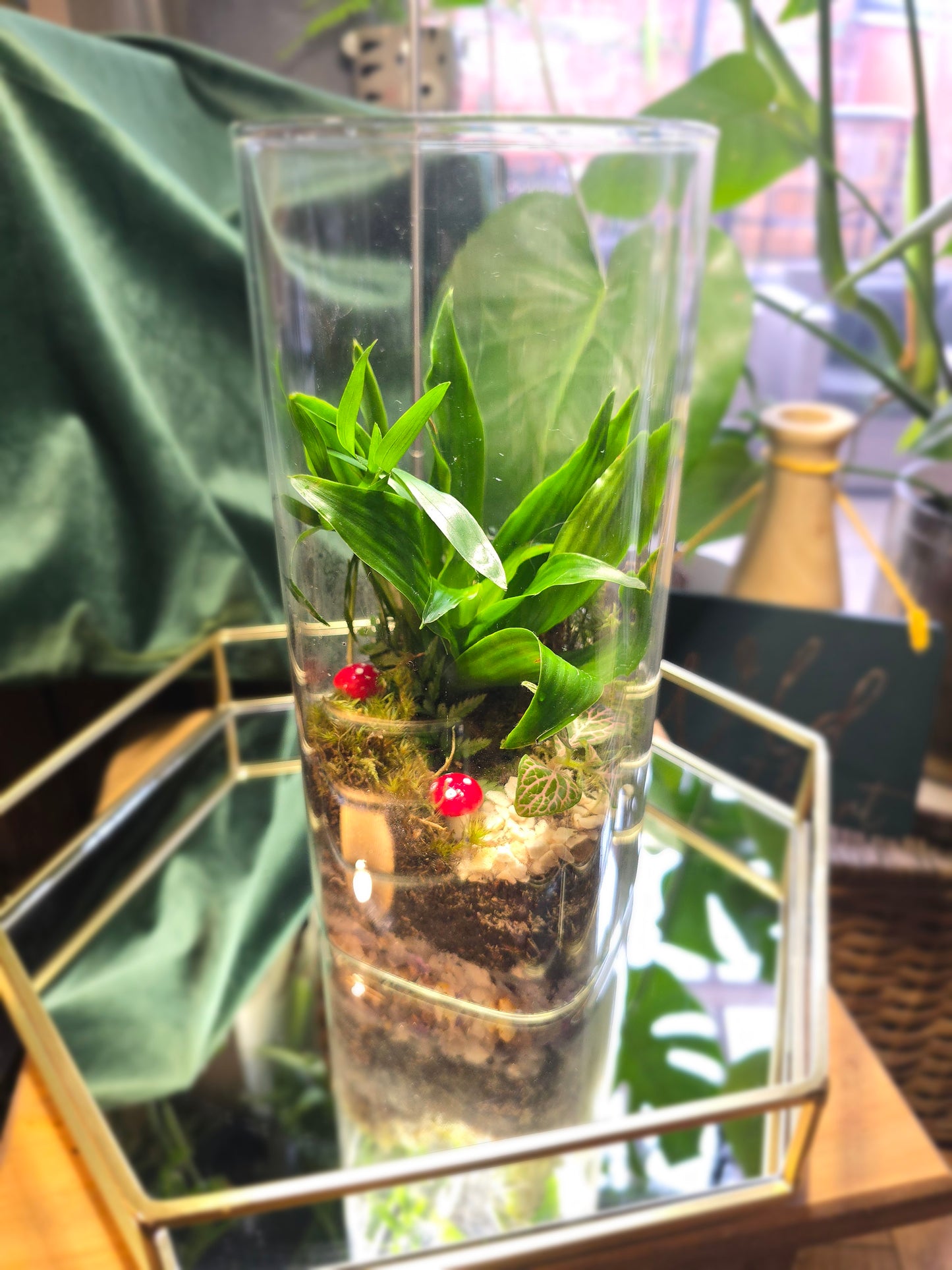 Tall Cork Lid Terrarium