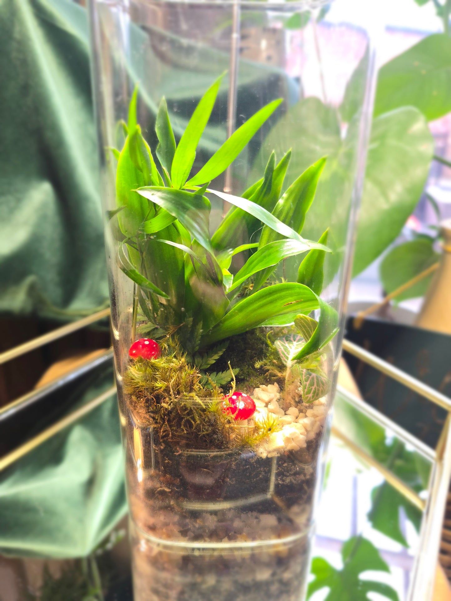 Tall Cork Lid Terrarium