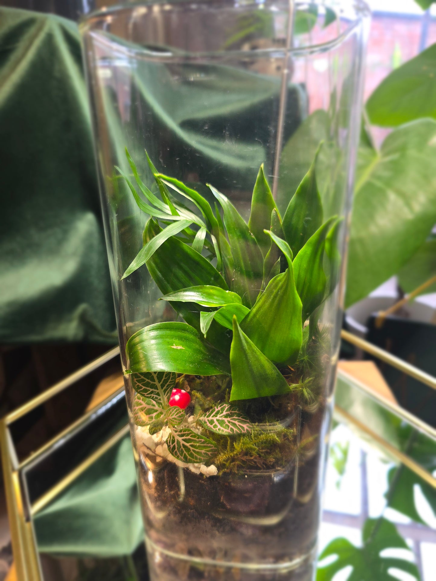 Tall Cork Lid Terrarium