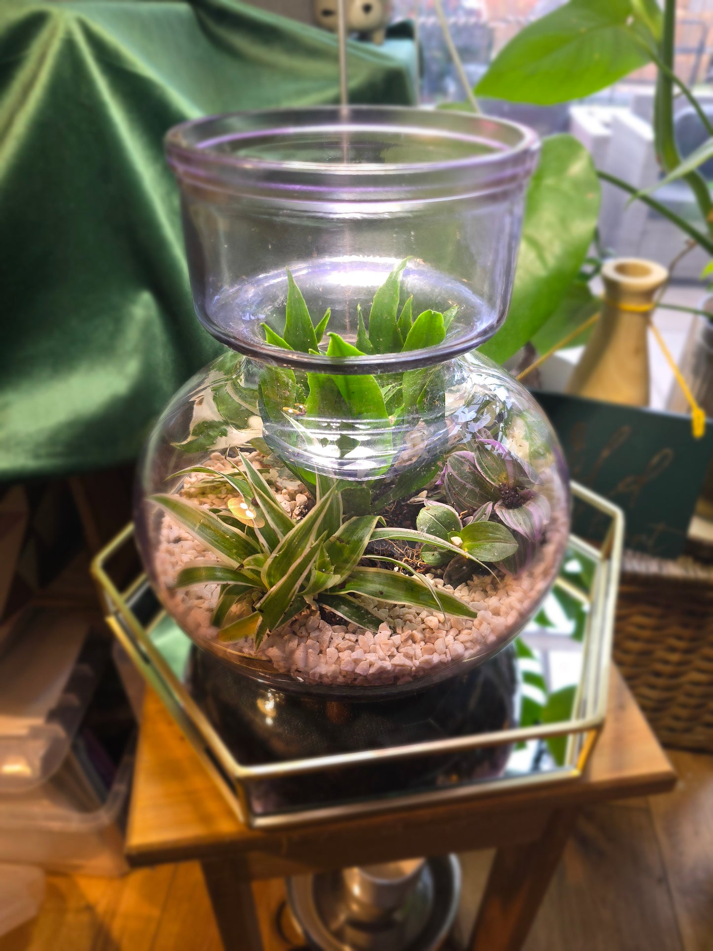 Open Terrarium