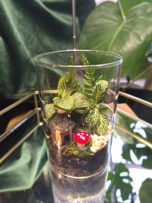 Small Closed Cork lid Terrarium