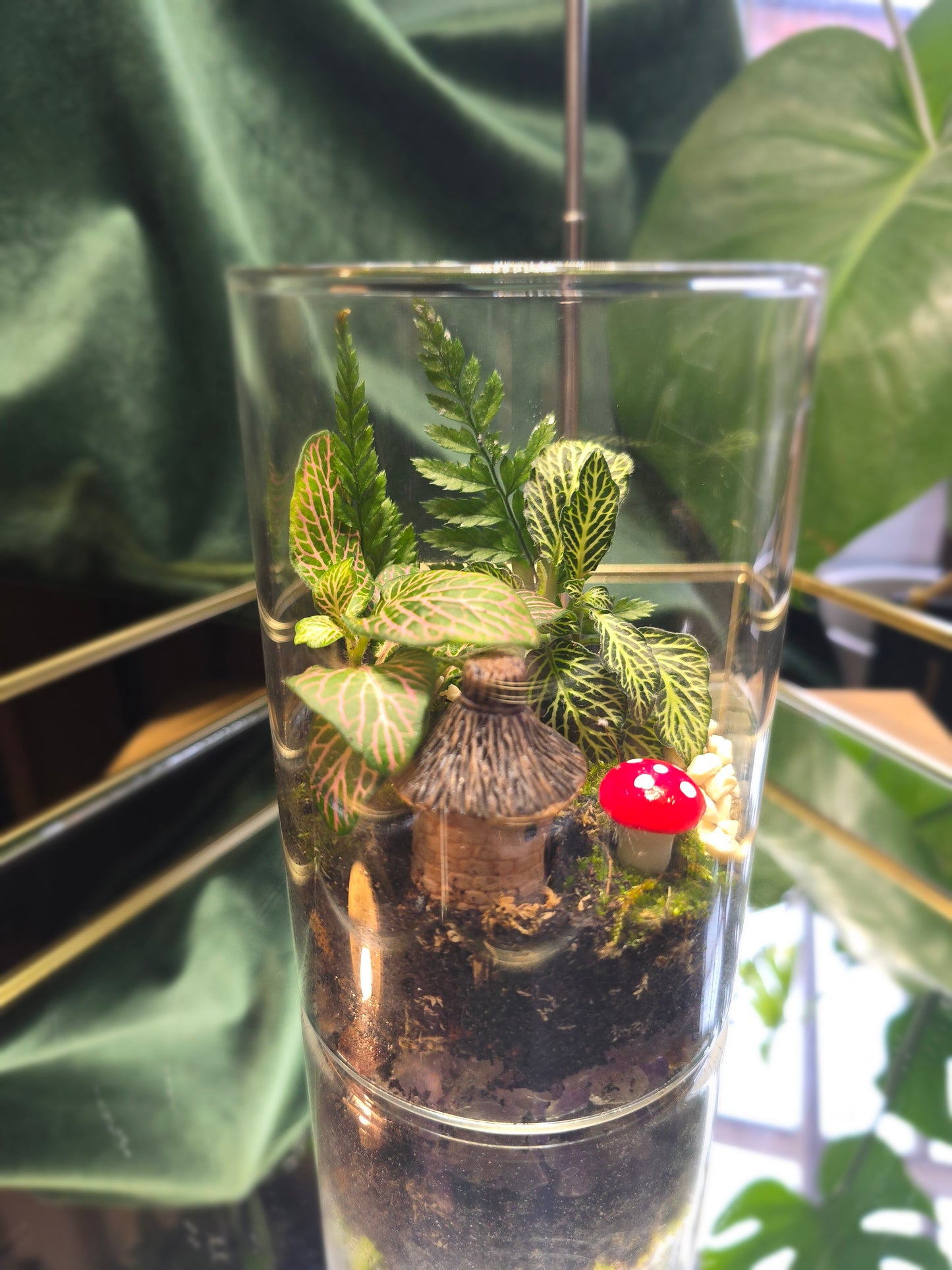 Small Closed Cork lid Terrarium